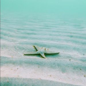 Meet your Posher, Kaycie